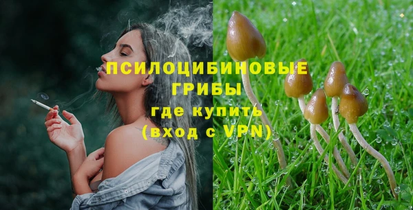 бошки Медногорск