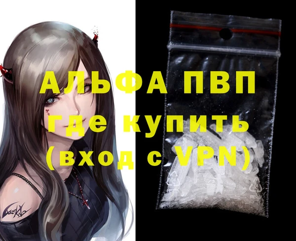 стаф Анжеро-Судженск