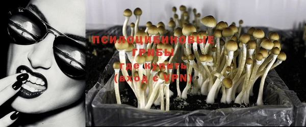 бошки Медногорск