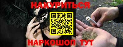 прущие крисы Гатчина