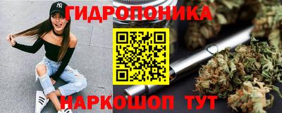 прущие крисы Гатчина