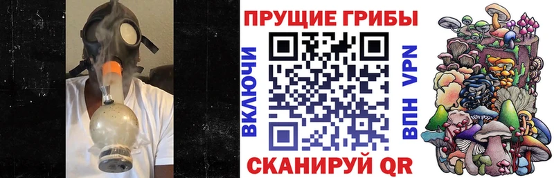 omg ССЫЛКА  Ростов-на-Дону  Галлюциногенные грибы MAGIC MUSHROOMS  купить  цена 