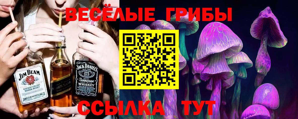 Галлюциногенные грибы прущие грибы Ростов-на-Дону