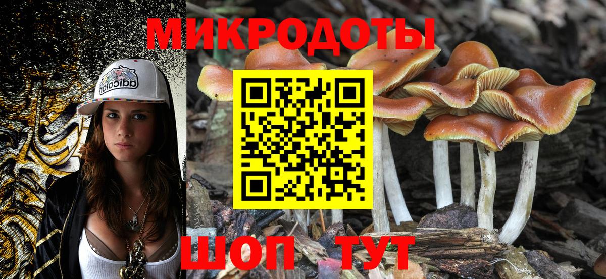 Псилоцибиновые грибы MAGIC MUSHROOMS  наркошоп  Ростов-на-Дону  Вход с VPN 